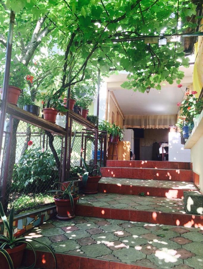 Гостевой Дом «Лиза» Hotel Gagra Eksteriør billede
